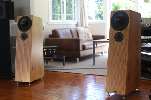 Penaudio Alba Lumi Floorstanding Speakers