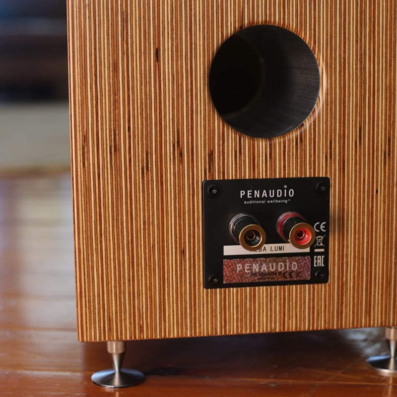 PENAUDIO SPEAKERS