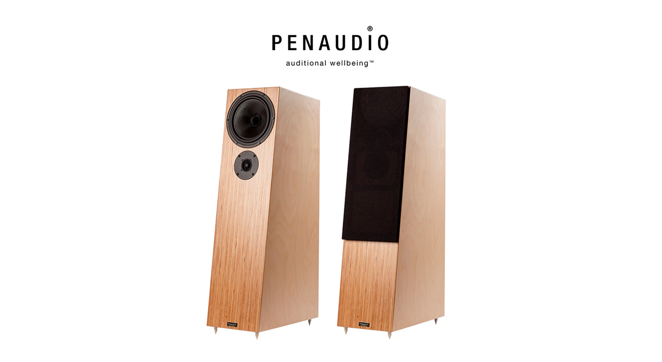 PENAUDIO SPEAKERS