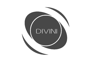 Divini Audio Divini Audio Logo